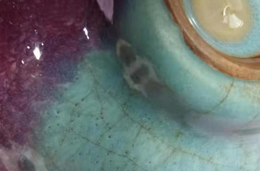  宋元钧瓷–罕见的泡泡碗