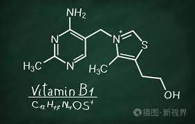  密码保护：硫胺素维生素B1与人体代谢以及糖尿病