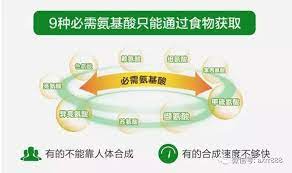  密码保护：人体必需的9种氨基酸和对人体作用