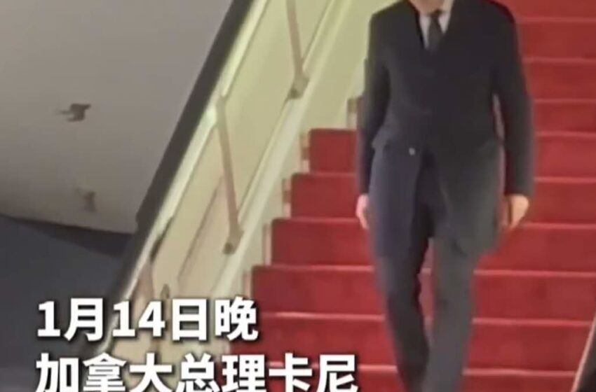  华人社区联署：支持卡尼务实外交，促进加中合作共赢